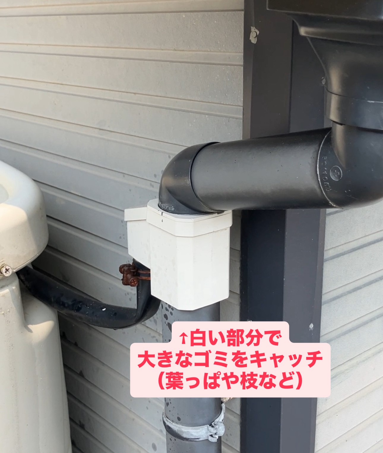 屋根に振った雨を、そのまま暮らしに！！