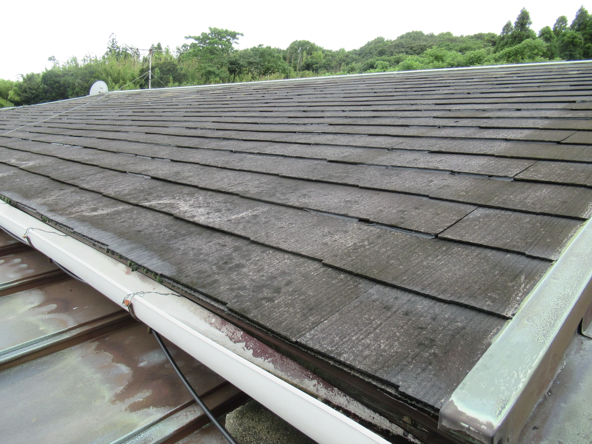 屋根替え剥がなくてもできる？